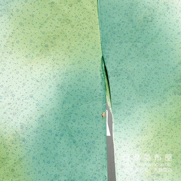 画像2: 手絣友禅染め大島紬振袖 『緑荒暈かしの図』