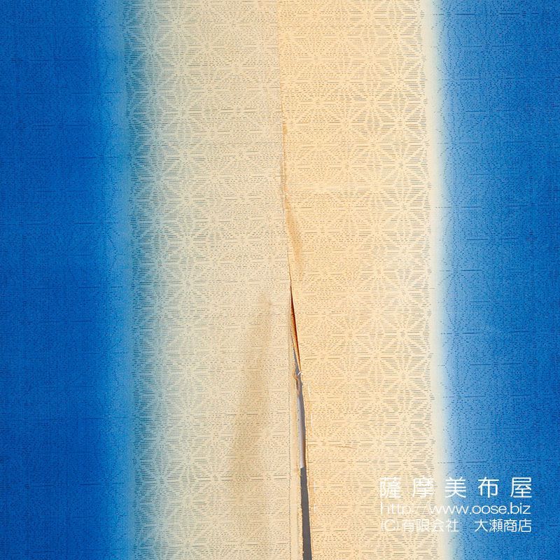 画像2: 手絣友禅染め大島紬振袖 『小径道引きの図』